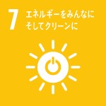 7. エネルギーをみんなに　そしてクリーンに